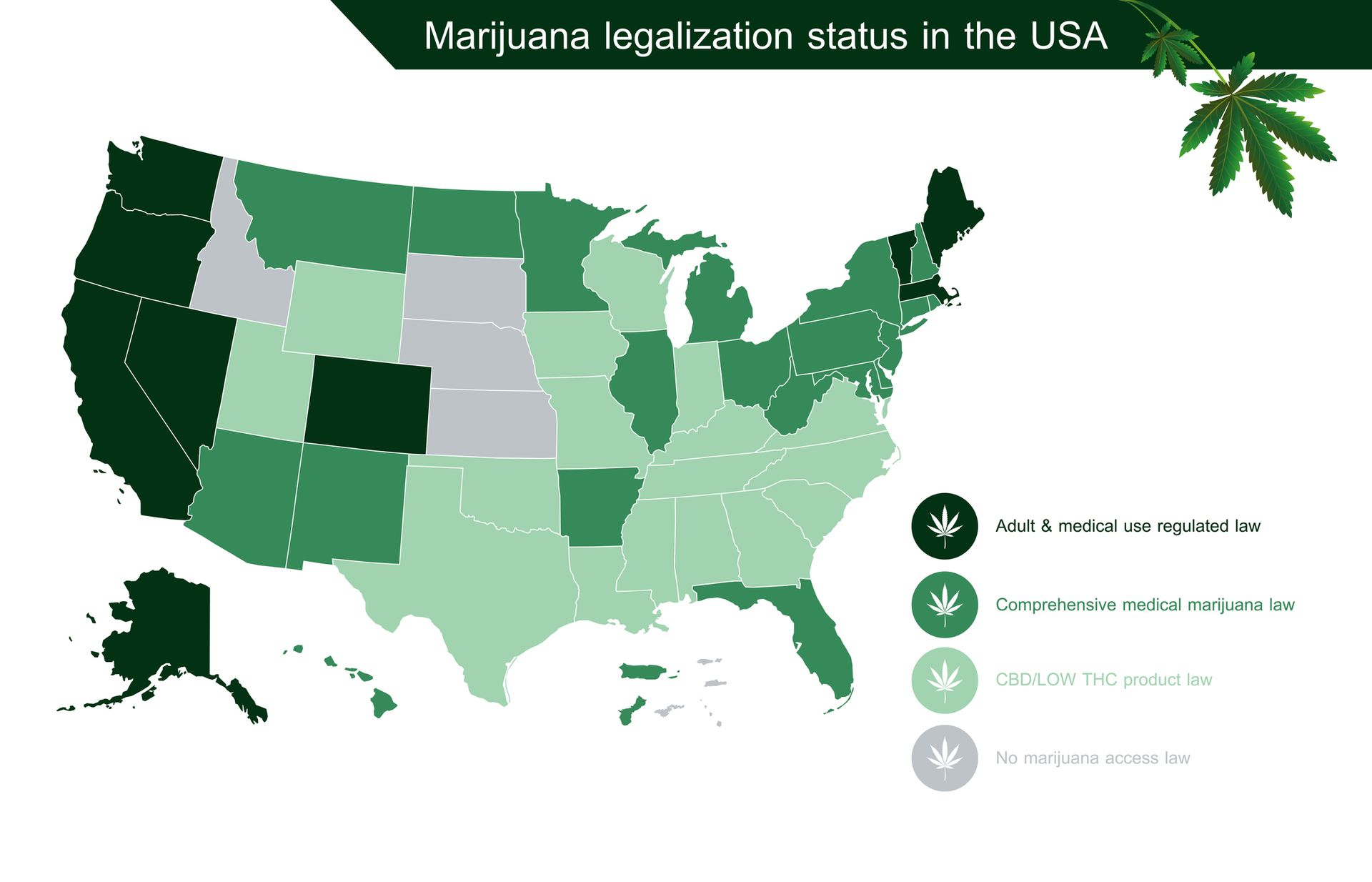 La légalisation de la marijuana récréative aux États-Unis.