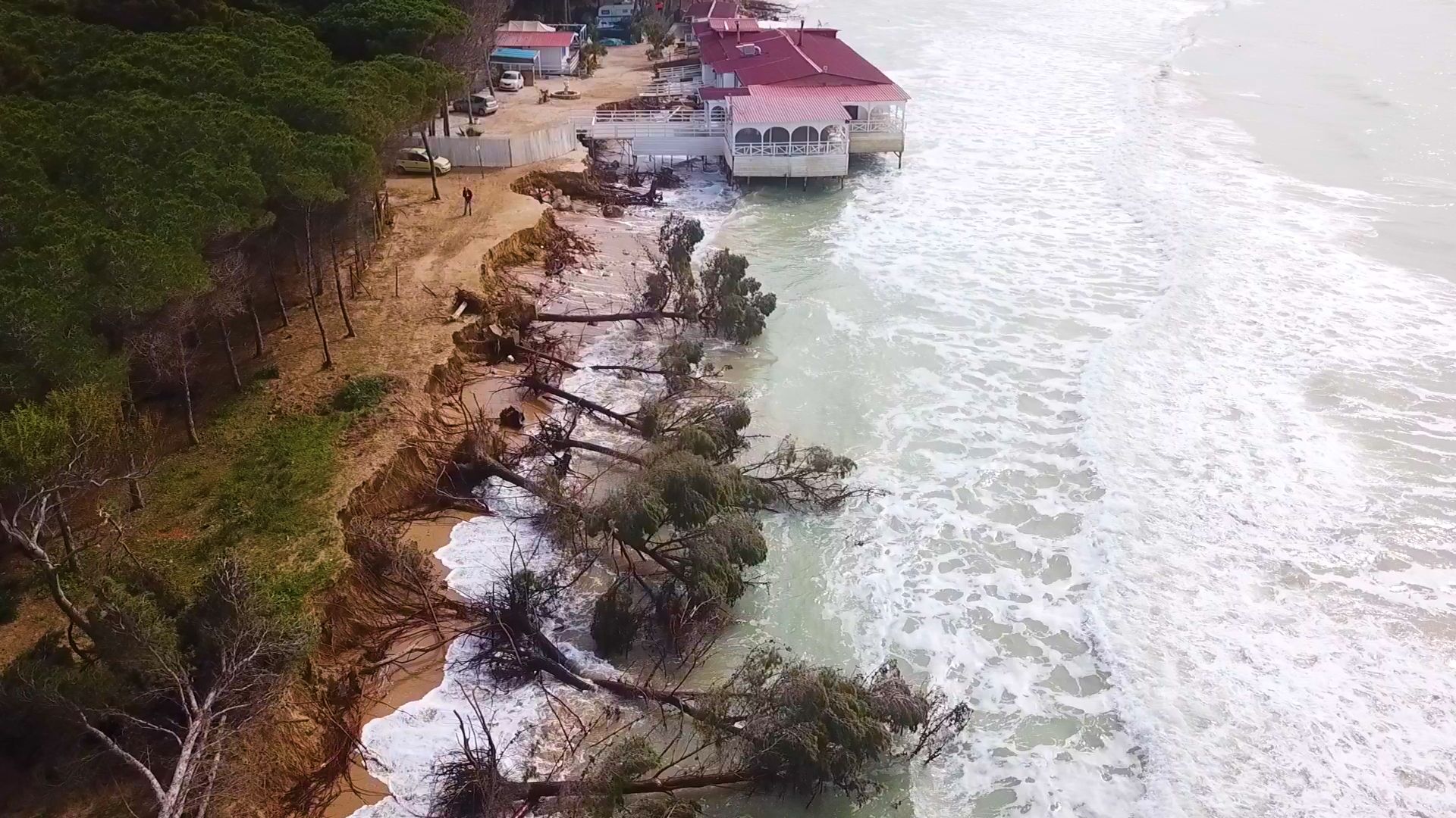 La plage d’Eraclea Minoa pendant la tempête en hiver qui a fait tomber les arbres de la pinède.