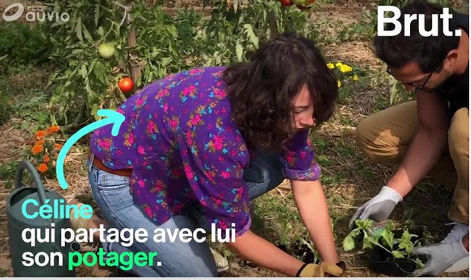 Partager un potager grâce à des sites de co-jardinage