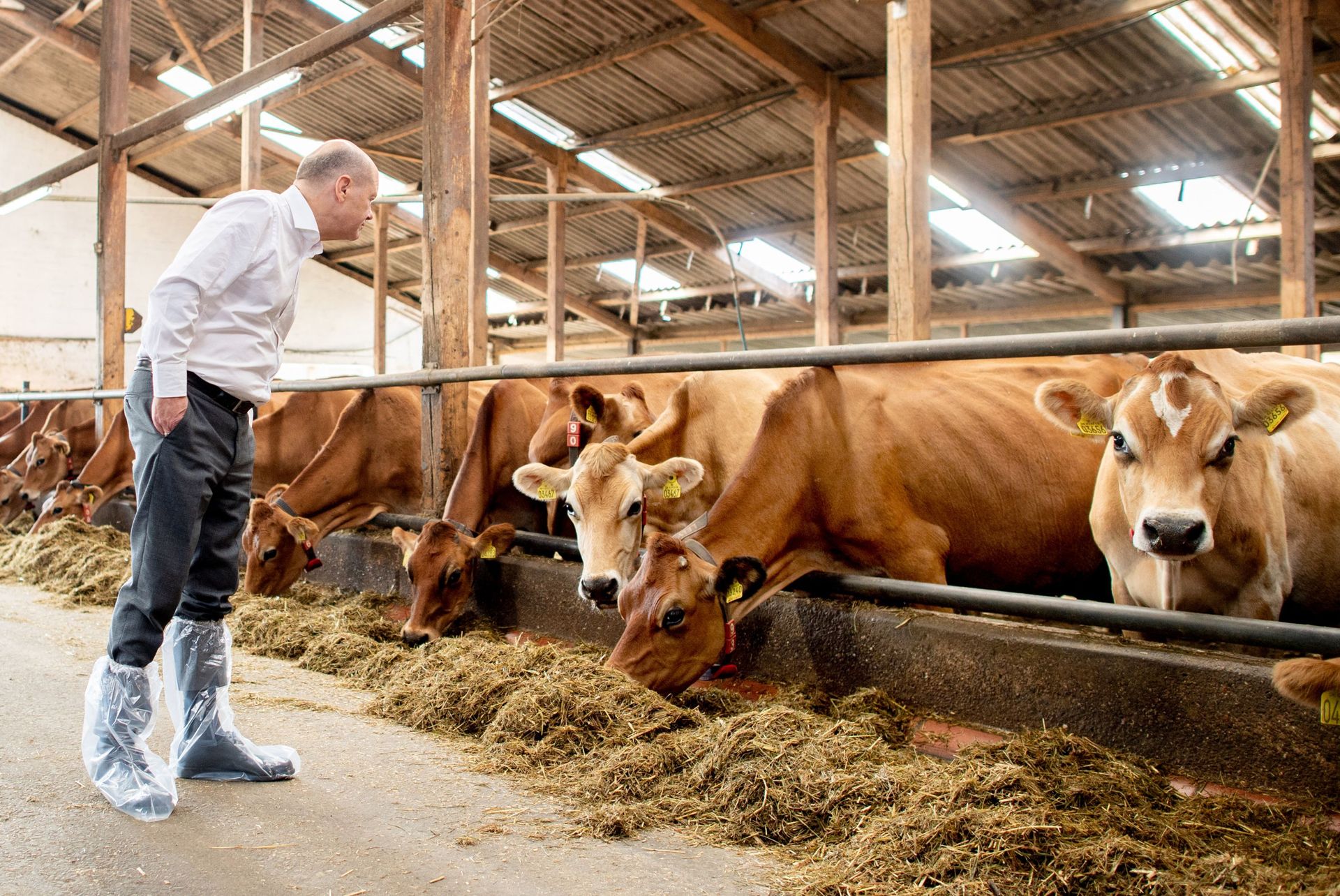 Crise agricole : les médias de Bolloré labourent le terrain pour l'extrême  droite