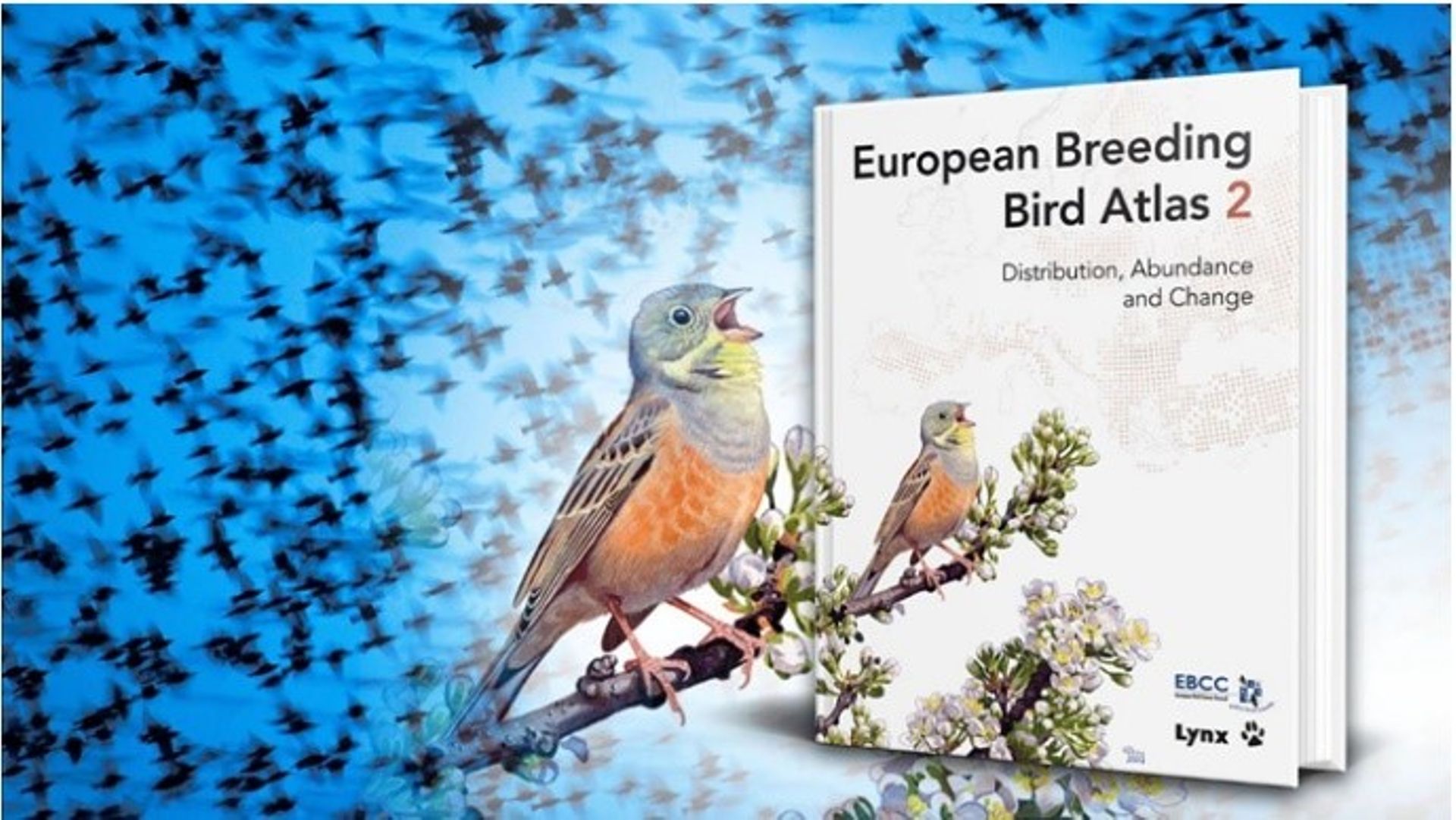 European Breeding Bird Atlas 
