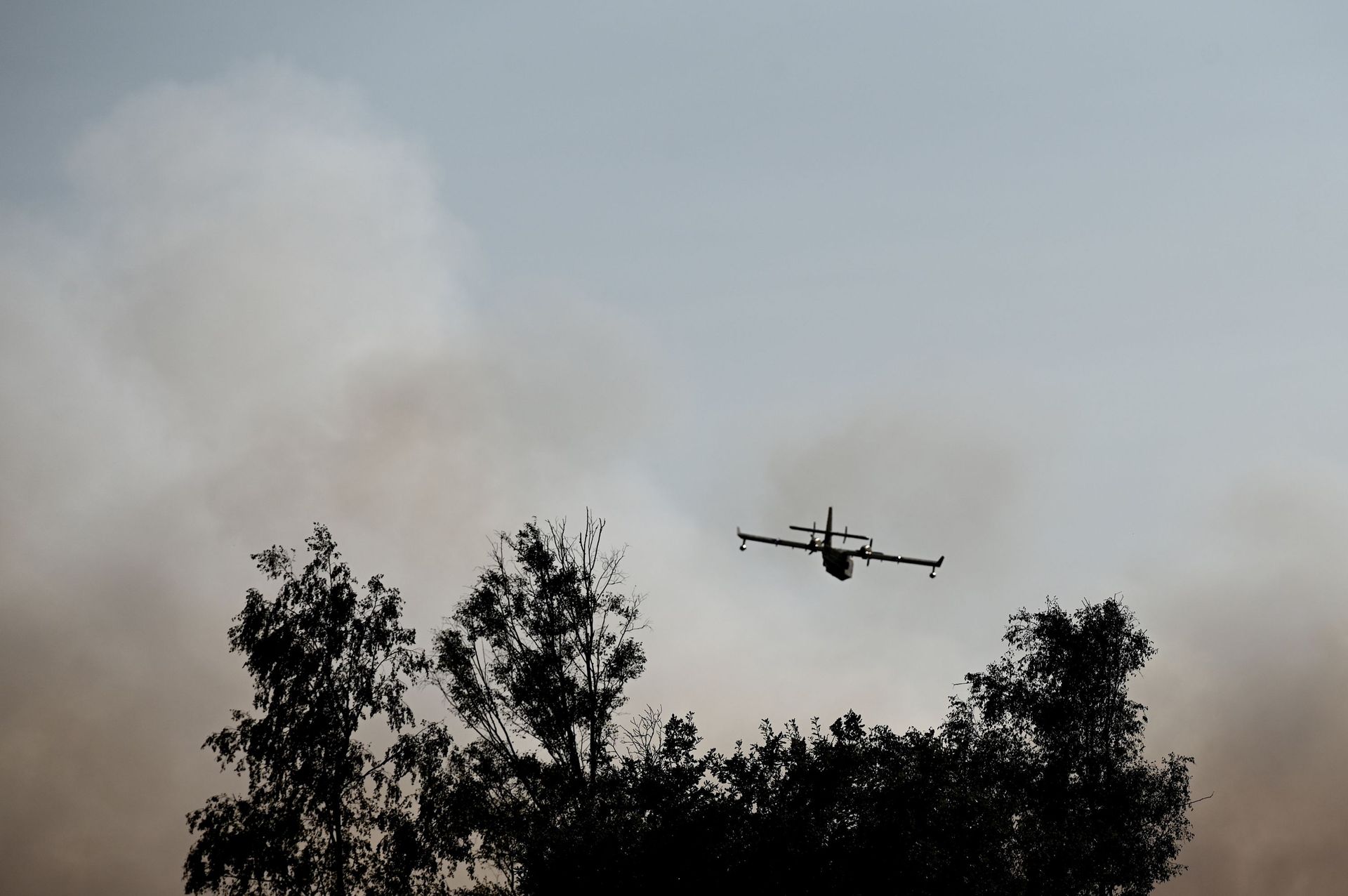 Combat contre le feu dans une forêt de pins en Gironde, ce 27 juillet 