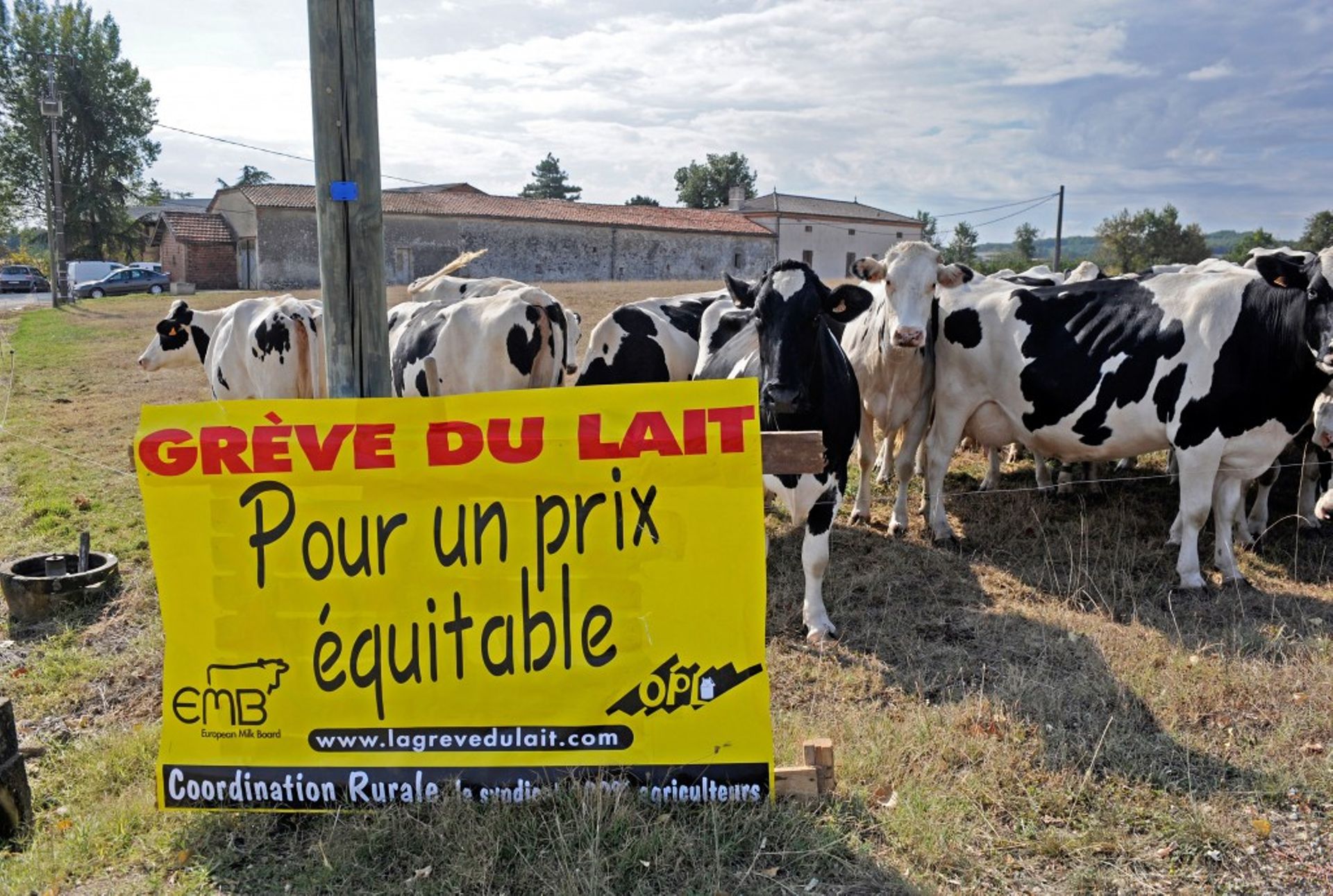 Des agriculteurs vont distribuer du lait gratuitement dans la