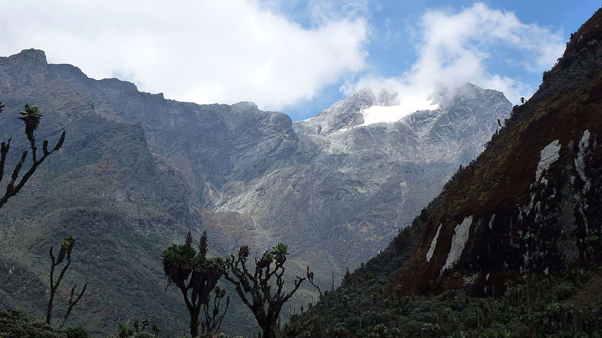 En Ouganda, le glacier du Mont Stanley dans la chaîne du Rwenzori, culminant à 5.109 mètres, menacé par le réchauffement climatique. Photo du 8 mars 2014. - Peter Martell