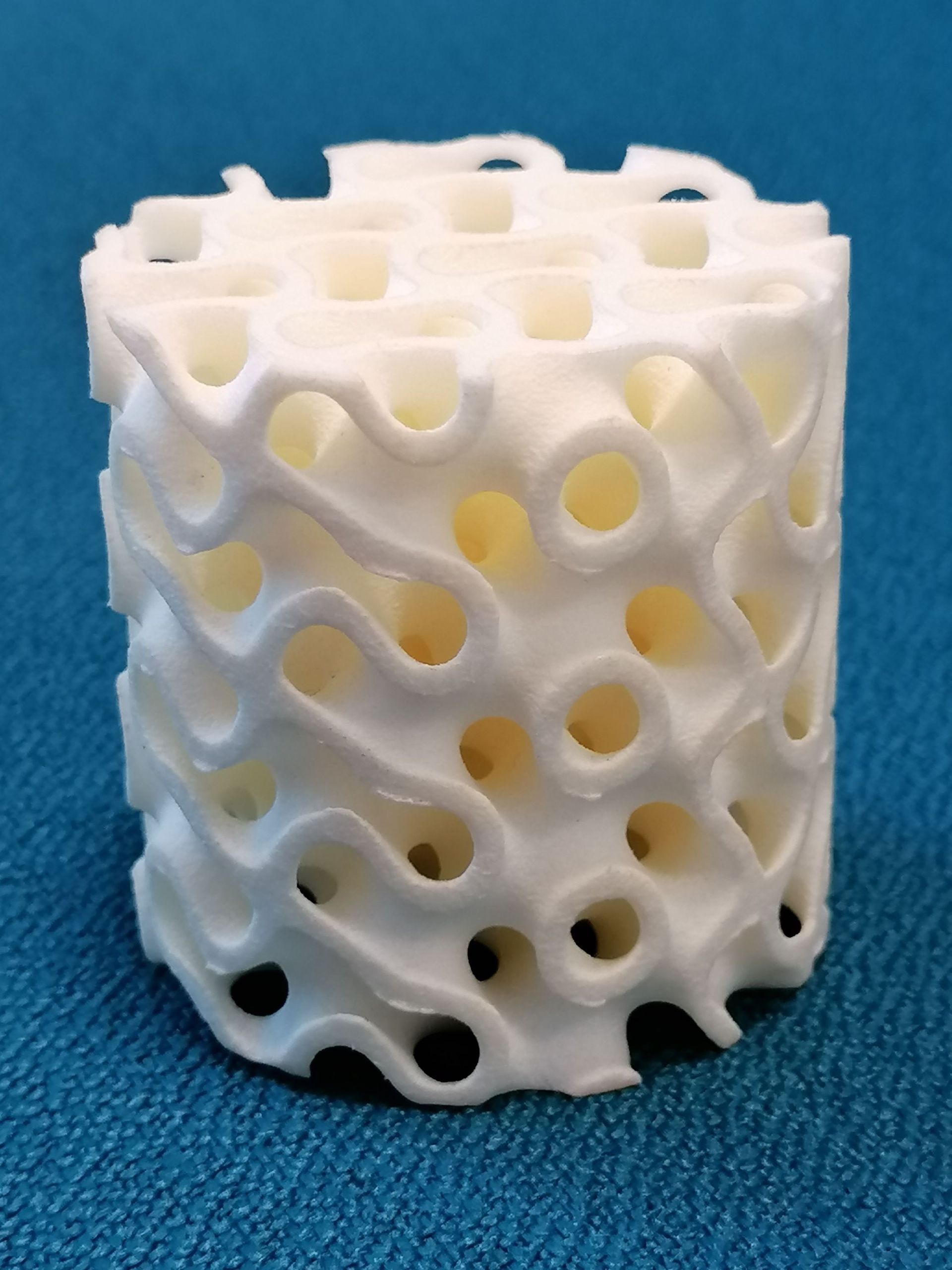 Exemple didactique d'implant osseux imprimé en résine, de structure identique aux implants réels. 