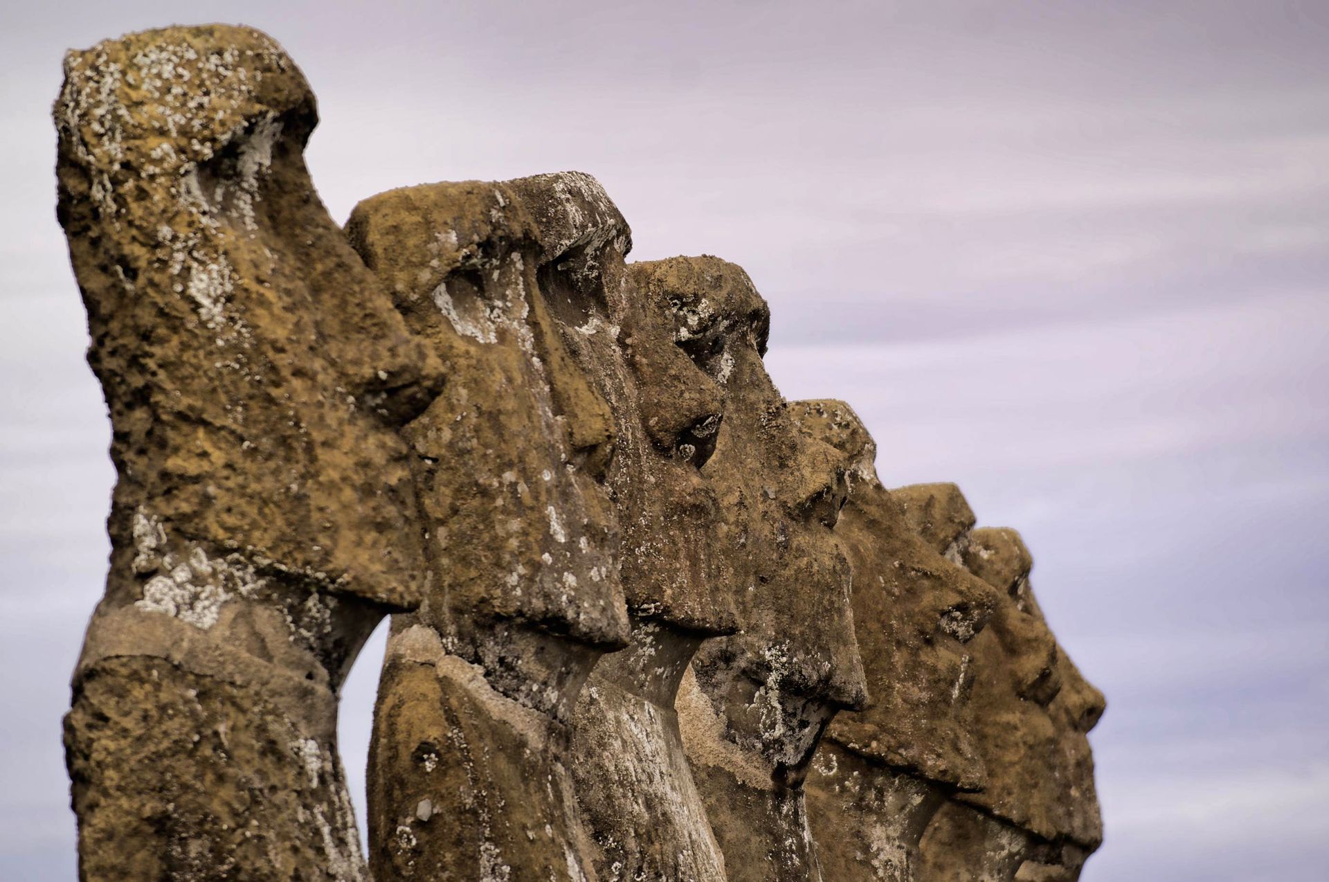 7 Moai de profil