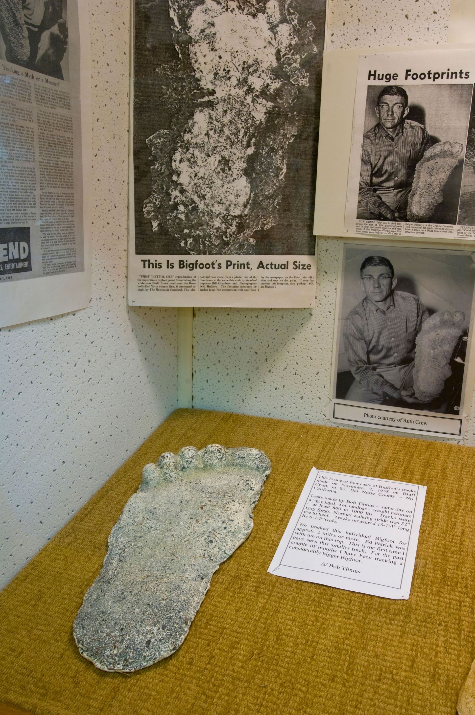 Bigfoot artifacts and footprint casts on display at the Willow Creek - China Flat Museum, Willow Creek, California