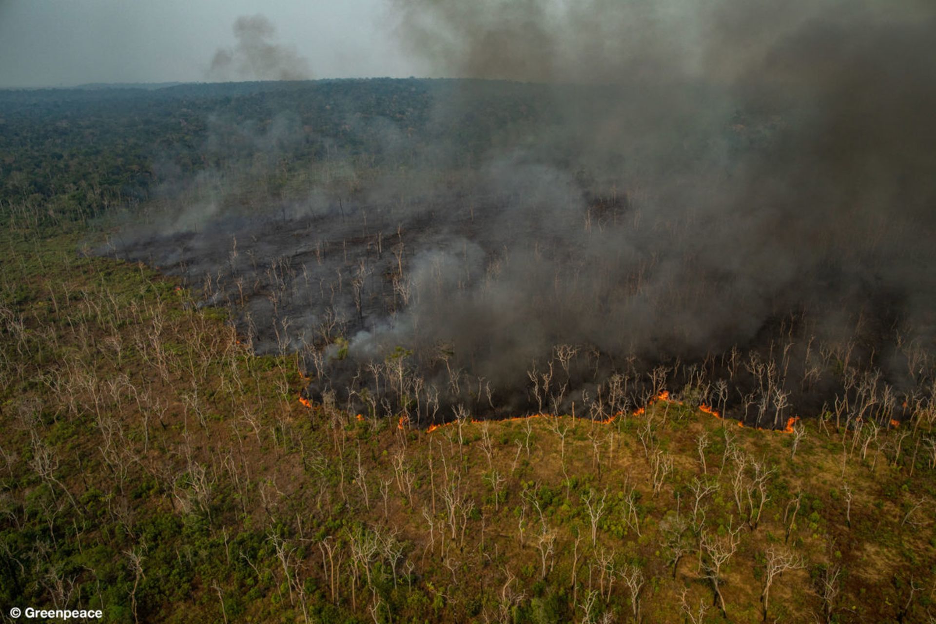 Images, causes, effets, ampleur réelle,...: démêlez le vrai du faux sur les incendies en Amazonie