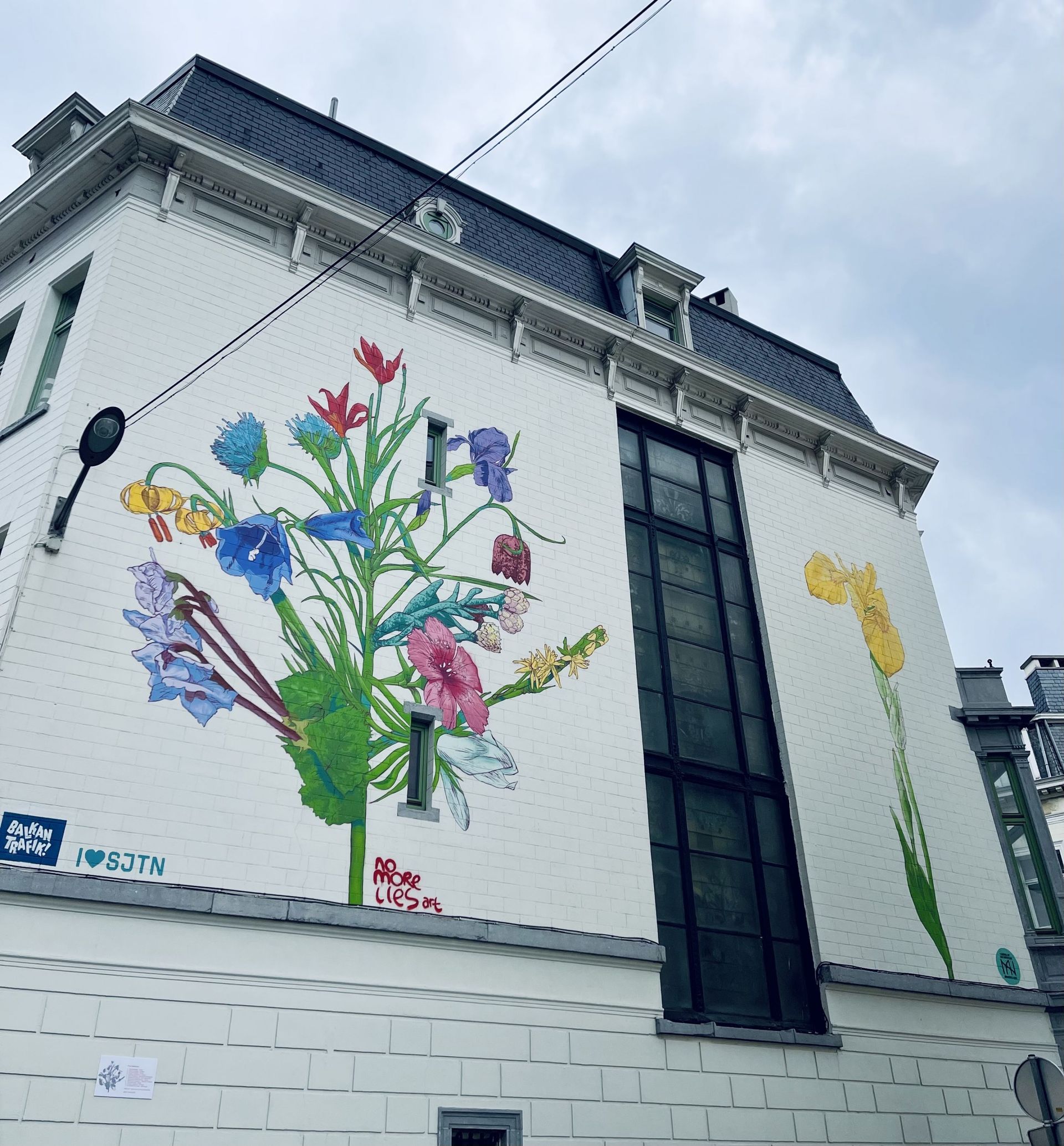 "Flora balcanica", réalisée par l’artiste stambouliote No More Lies, est visible rue Brialmont à Saint-Josse-ten-Noode.