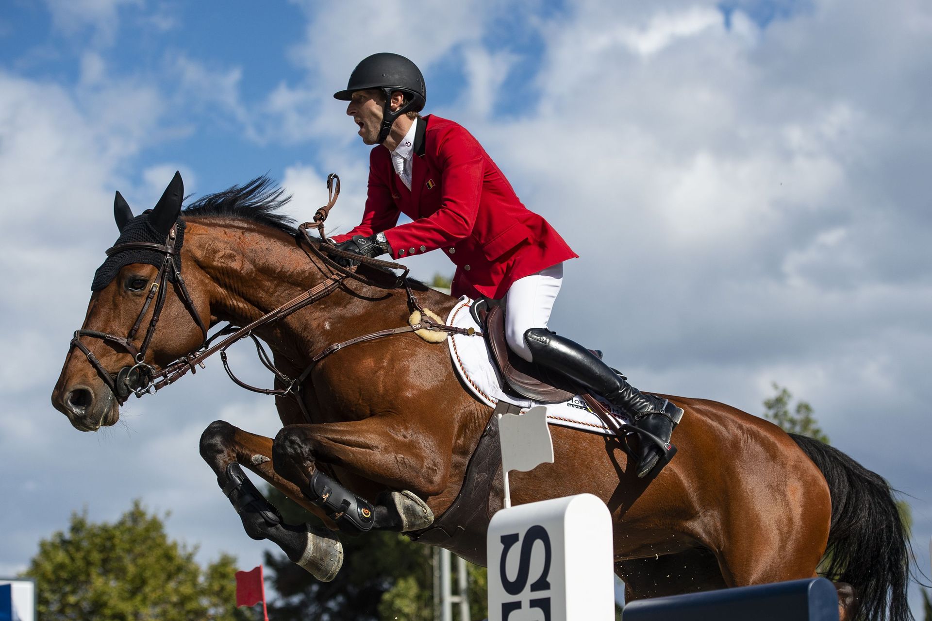 Equitation : Le sport équestre belge souffre et appelle à l'aide 