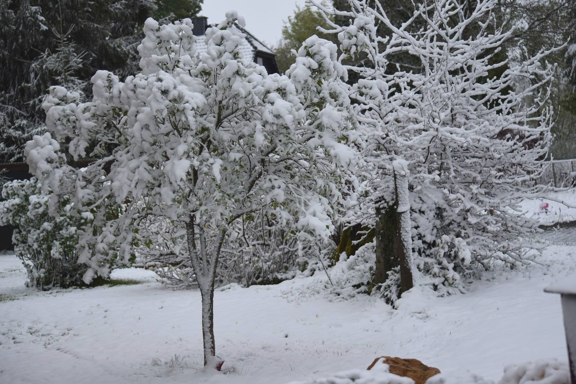 C'est un paysage hivernal qui est offert aux belges ce 4 mai