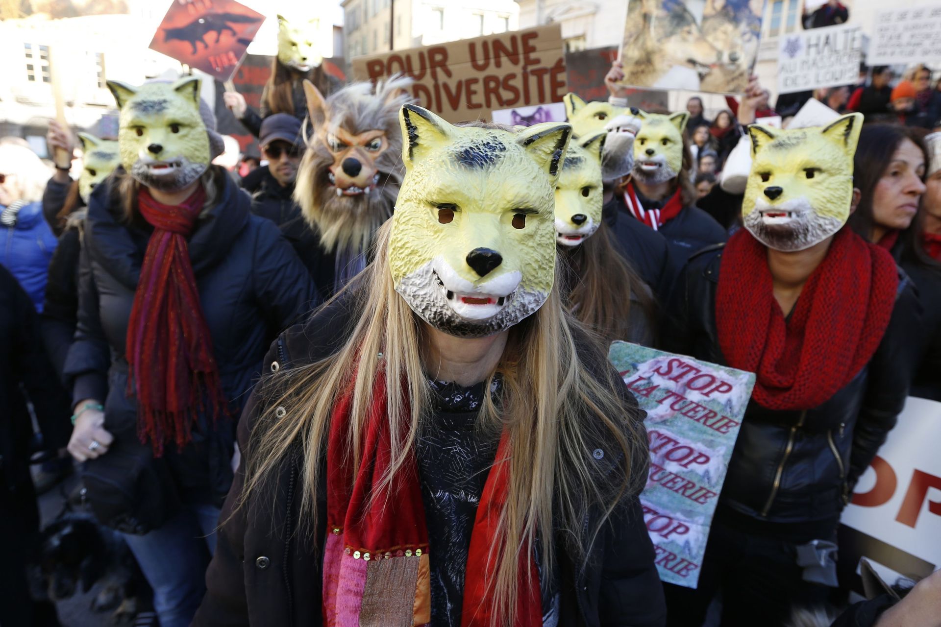 Manifestation pro-loups à Nice, en 2016