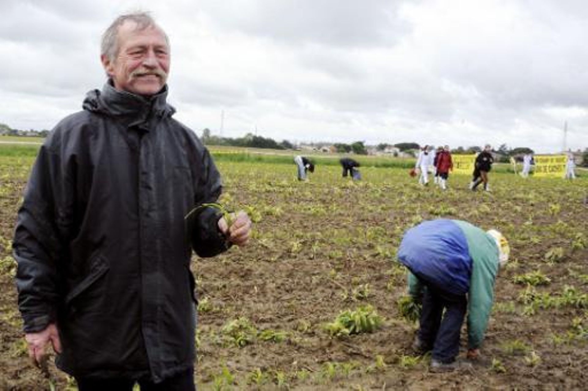 L'eurodéputé José Bové s'est fait une spécialité de l'arrachage des OGM, comme ici à Roquettes, en France, le 2 mai 2014