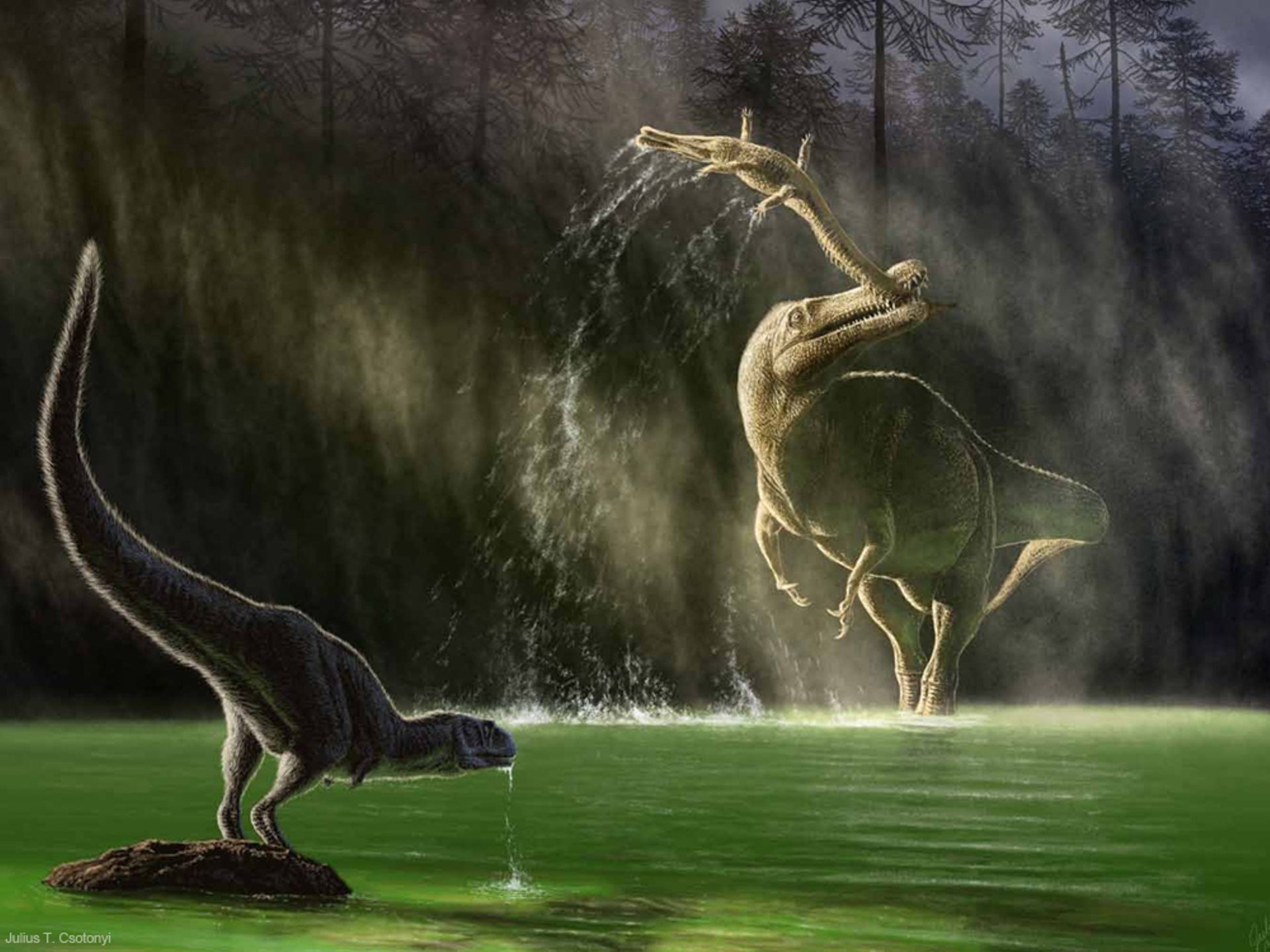 Jeu Disquette Thomson TO8 – Vie Et Mort Des Dinosaures Par Infogrames (État Correct)