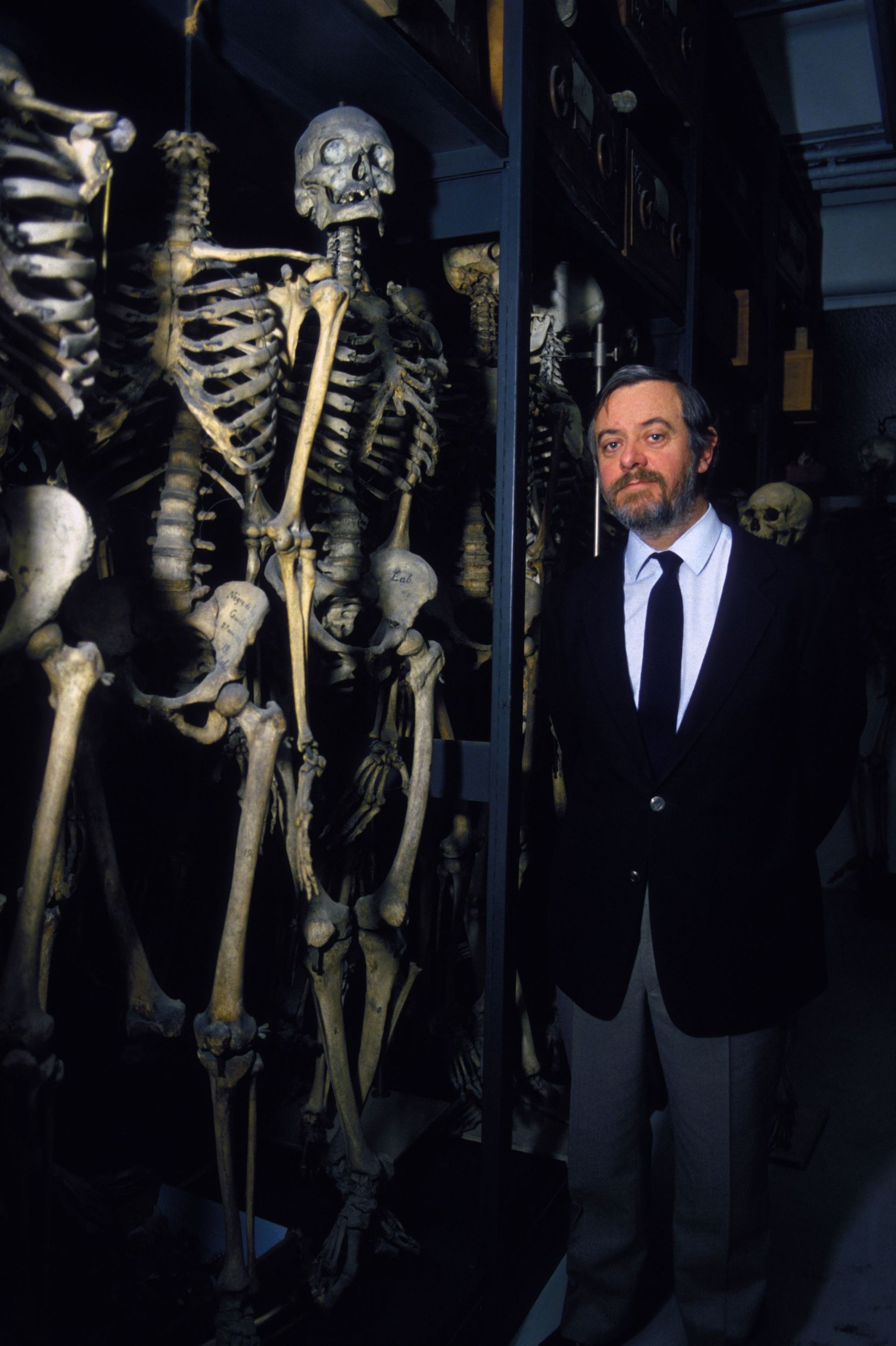Le scientifique au musée de l’Homme, à Paris, en 1984