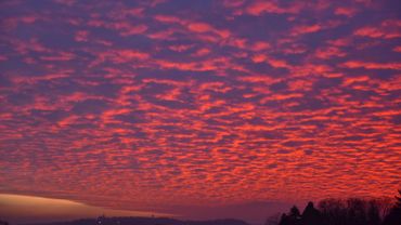 Le Ciel Etait Rose Pour Le Blue Monday