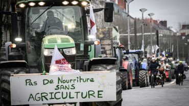 Manifestations : une agricultrice meurt sur un barrage routier