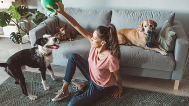 Partir en vacances sans son animal de compagnie : comment bien choisir son petsitter ?