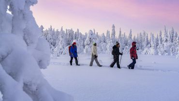 Où sont passés les bonhommes de neige ? La disparition de la neige, une ...