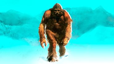 Le Yeti Savez Vous Qui Est Vraiment L Abominable Homme Des Neiges