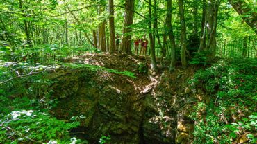 on-a-test-pour-vous-le-g-osite-du-fond-des-vaulx-marche-en-famenne