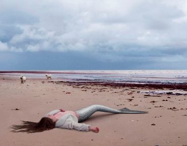 découverte de la vraie vie de sirène