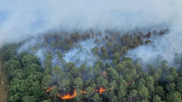 France : 60 bungalows et 150 hectares partis en fumée dans le Gard