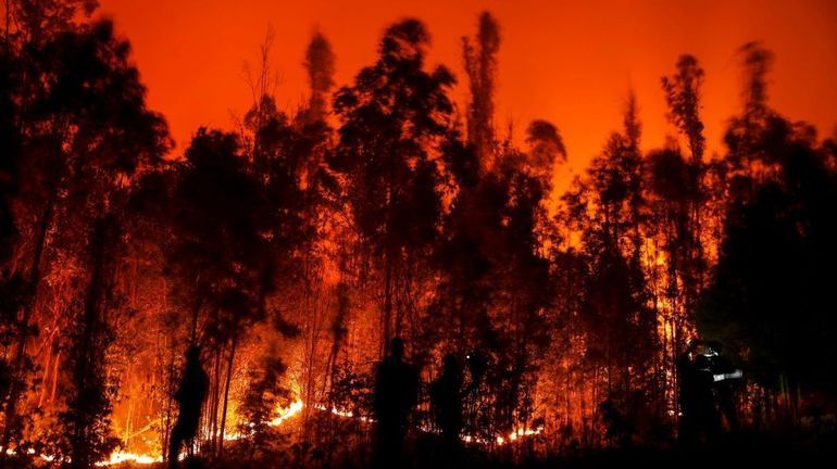 Chili : 24 morts dans des immenses feux de forêt, plus de 1.100 blessés