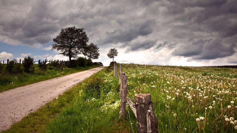 Météo en Belgique : retour d'un temps plus sec et calme ce mercredi, malgré quelques averses locales