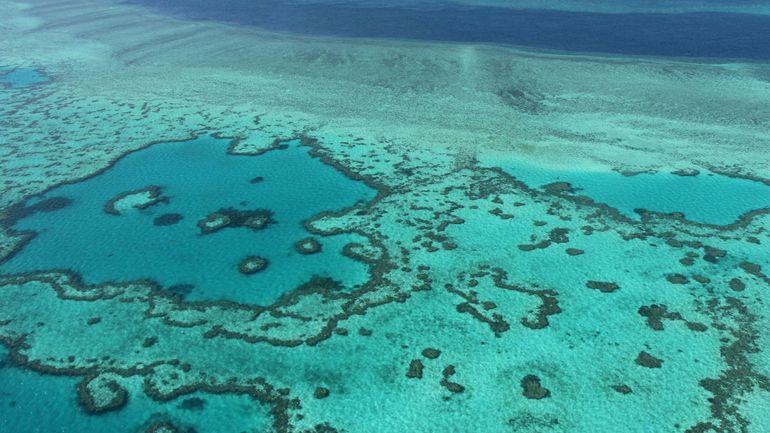 Selon une étude, le blanchissement a touché 98% de la Grande barrière de corail