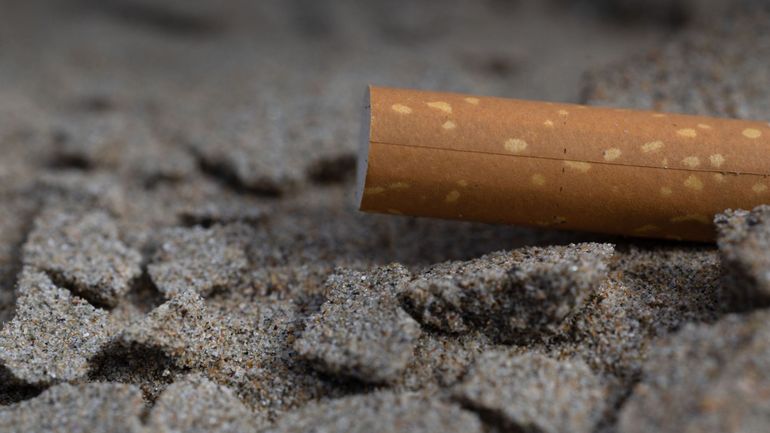 Vous partez en France cet été ? Dès dimanche, il sera interdit de fumer à la plage, au parc ou dans un abribus
