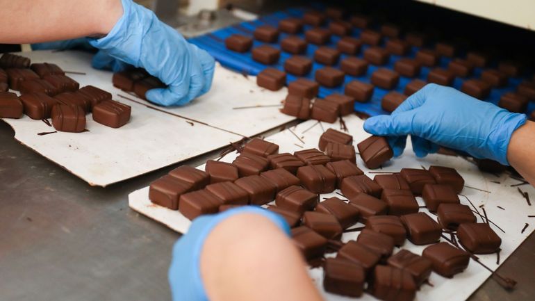 La chocolaterie Belvas se lance dans le chocolat produit en biodynamie