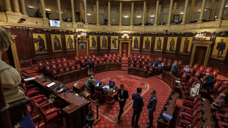 Face à la suppression du Sénat, les parlementaires germanophones demandent une représentativité garantie à la Chambre