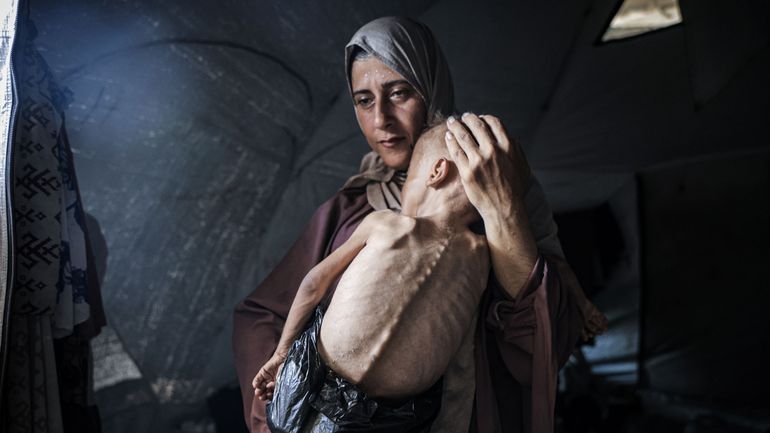Guerre Israël-Gaza : le chef de l'OMS affirme qu'une 