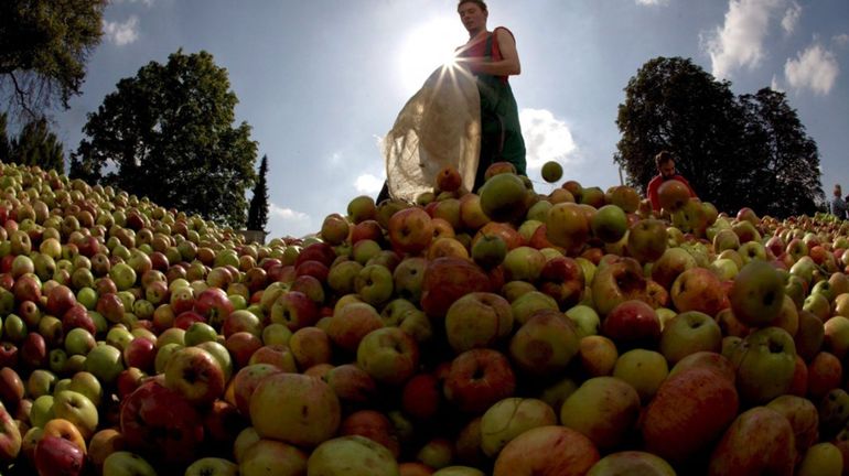 Un fruit sur trois est contaminé par un pesticide interdit en Belgique: une hausse de 53% en neuf ans