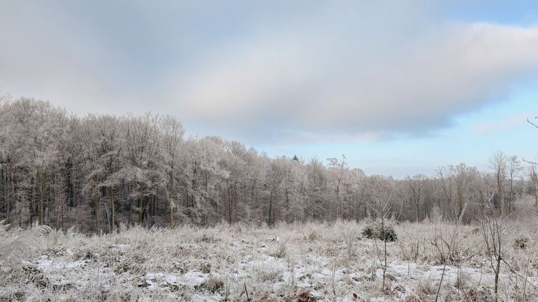 Météo en Belgique : dimanche sec et calme avec un ciel gris ou bleu