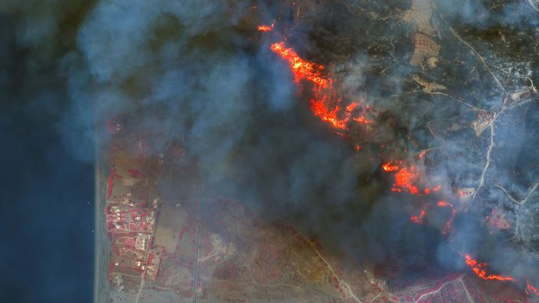 Feux de forêts : l’IA de Google, un nouvel allié dans la détection d’incendies à grande échelle ?