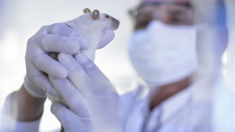 Expérimentation animale : entre contestation des uns et réalité des autres