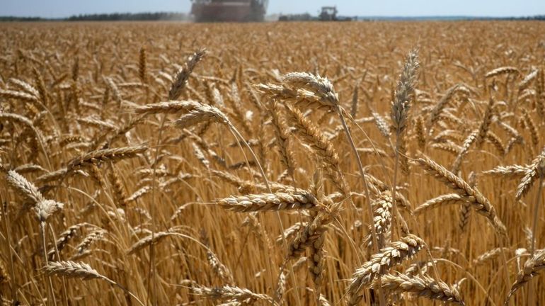 Guerre en Ukraine : la Russie estime pouvoir exporter 50 millions de tonnes de céréales