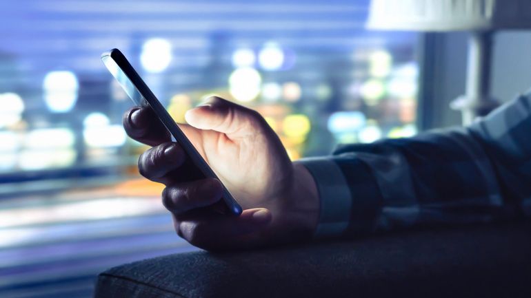 Le nombre de SMS frauduleux diminuera sensiblement à la mi-octobre, selon Petra De Sutter