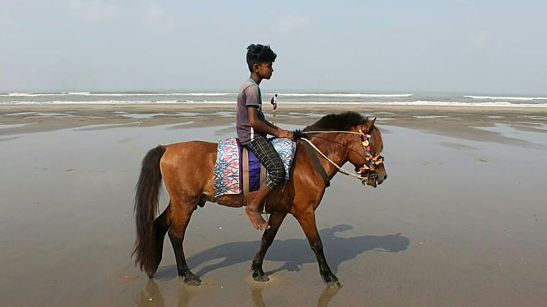 Coronavirus au Bangladesh : des chevaux morts de faim, leurs propriétaires sur la paille faute de touristes