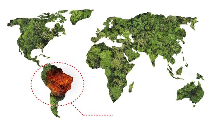 Brésil : jamais en 17 ans la forêt amazonienne n'avait connu autant d'incendies qu'en 2024