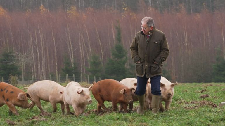 Jambon d'Ardenne : entre tradition et passion, rencontre avec un boucher passionné