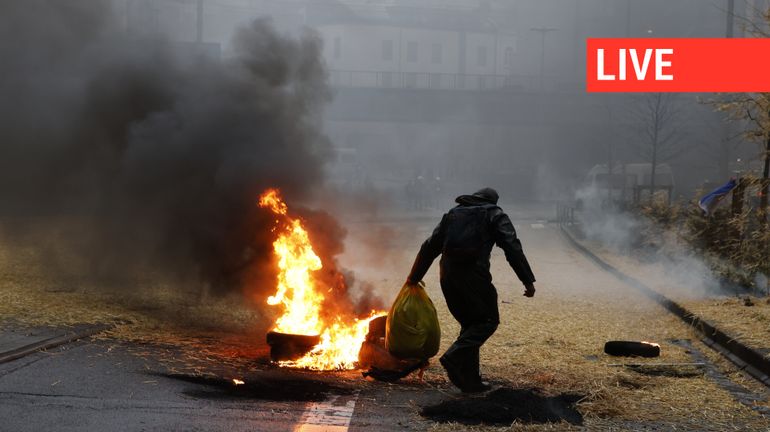 Direct - Manifestation des agriculteurs : après de violentes échauffourées, le calme revient à Bruxelles