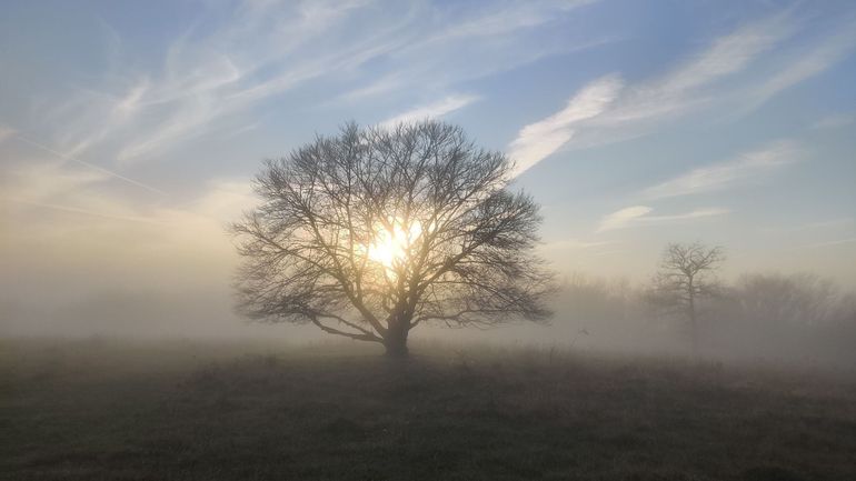 Météo en Belgique : double avertissement jaune de l'IRM (brouillard et conditions glissantes) ce samedi matin, avant que le soleil ne s'impose presque partout