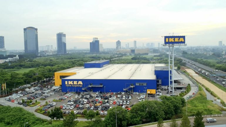 #Investigation : IKEA, le saigneur des forêts