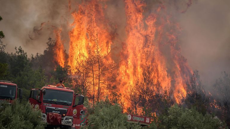 Feux de forêt en Turquie : onze ouvriers forestiers tués alors qu'ils luttaient contre un incendie dans l'ouest du pays