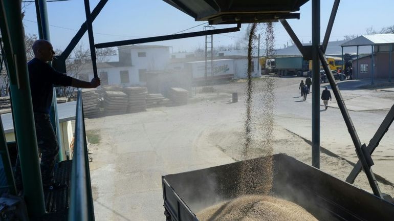 Guerre en Ukraine : l'Ukraine réfute les accusations de Poutine sur les exportations de céréales vers l'Europe