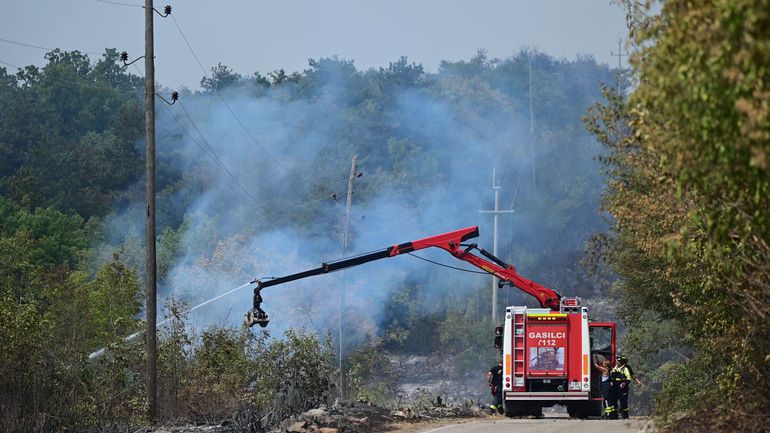 Slovénie : le feu de forêt au Karst est sous contrôle, 4000 hectares partis en fumée