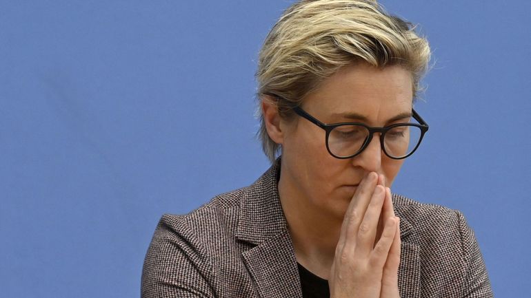 Elections en Allemagne : le parti de gauche Die Linke siégera tout de même au Parlement allemand